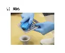 1003BM 2.webp