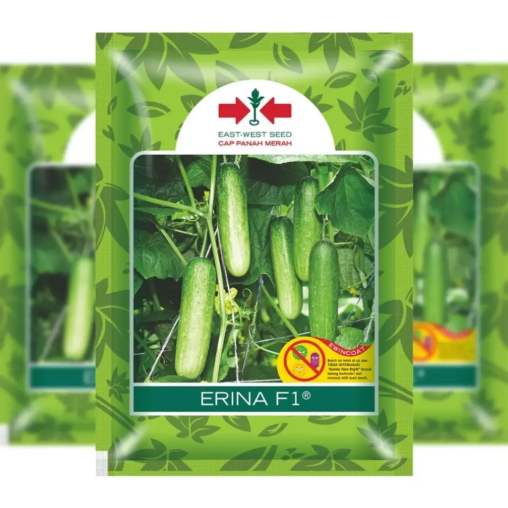 East West Cucumber Erina 175 Seeds