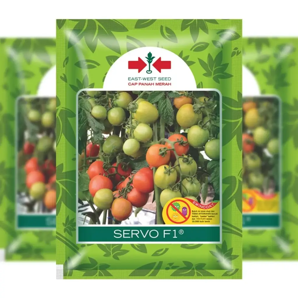 East-West Servo 150 Seeds (Tomato)