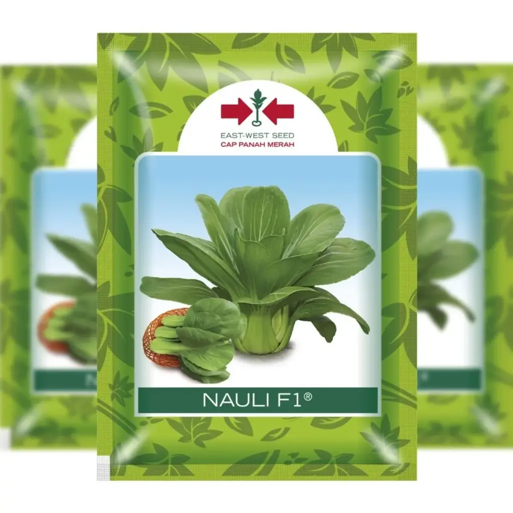 East West Chinese Cabbage Nauli (10 Grm)