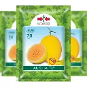 East West Melon Alisha 100 Seeds