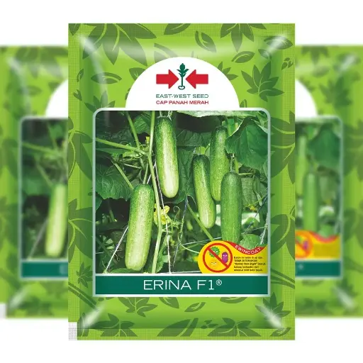 [F1298] East West Cucumber Erina 175 Seeds