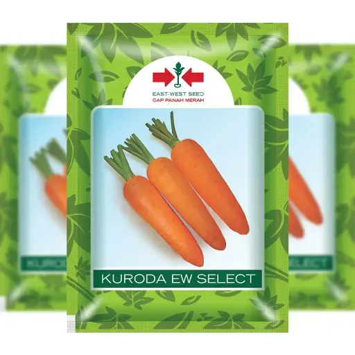 [F1300] East-West Kuroda Ew Select 25Gr (Carrot)