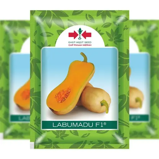 [F1301] East-West Labuma Du 50Seeds (Butternut)