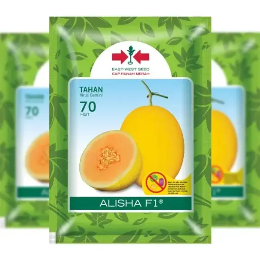 [F1315] East West Melon Alisha 100 Seeds