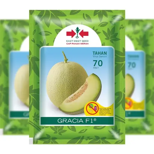 [F1316] East West Melon Gracia 1000 Seeds