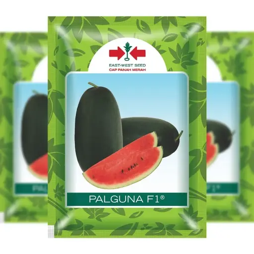 [F1319] East West Watermelon Oval Palguna (10 Grm)