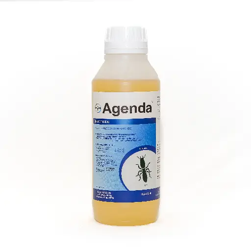 [P1287] Agenda